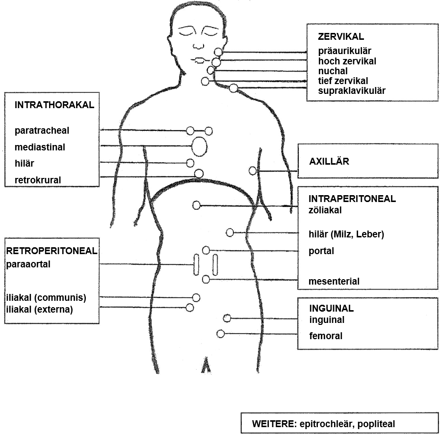 Lymphknotenregionen