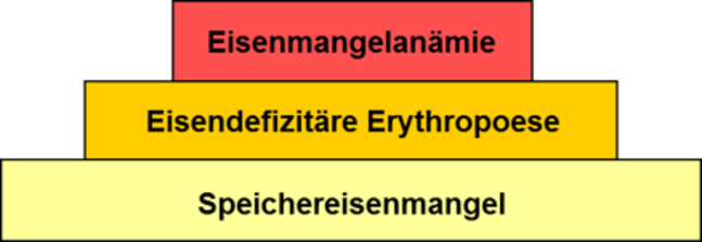 Stadien des Eisenmangels