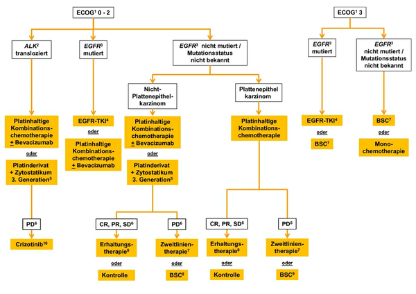 NSCLC Abb 03 NSCLC Abb 03