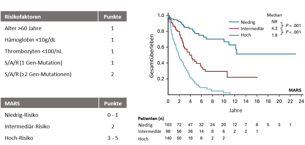 Validierter Prognosescore (Mutationtion-Adjusted Risk Score (MARS) for Advanced Systemic Mastocytosis) 