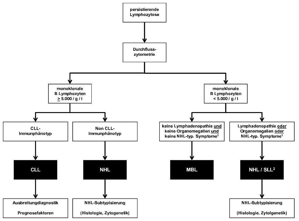 Differentialdiagnostik der B-Zell-Lymphozytose