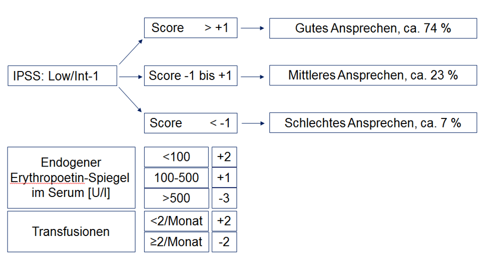 Modifizierter Score der Nordic MDS-Group