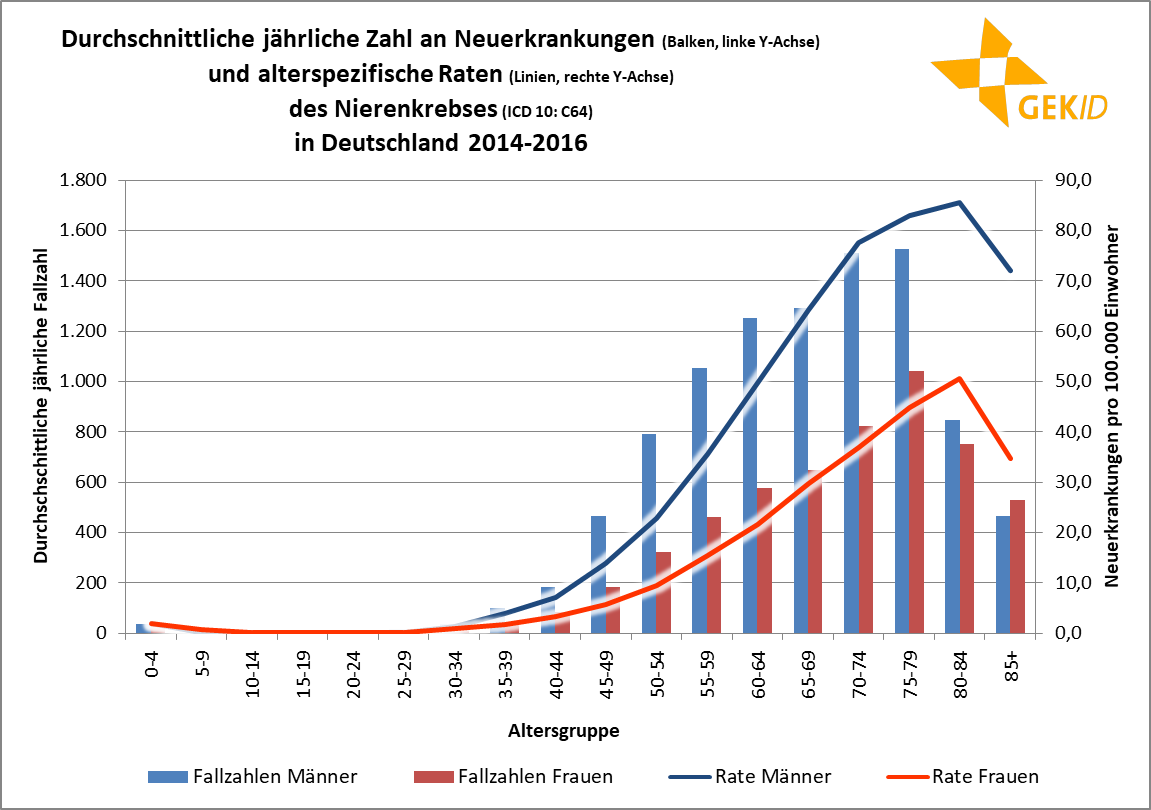 Nierenerkrankungen in Deutschland: Studie zeigt hohe Dunkelziffer