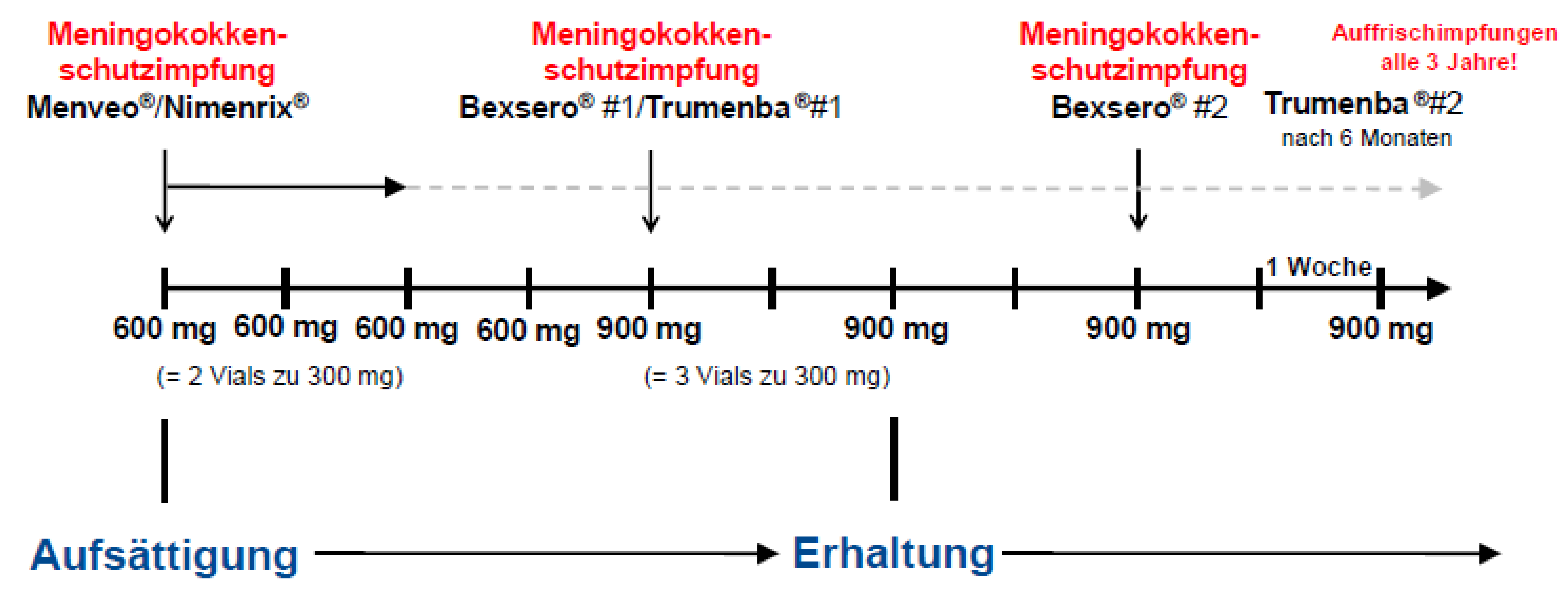 Meningokokkenschutzimpfung vor und unter Therapie mit Eculizumab (Soliris®) 