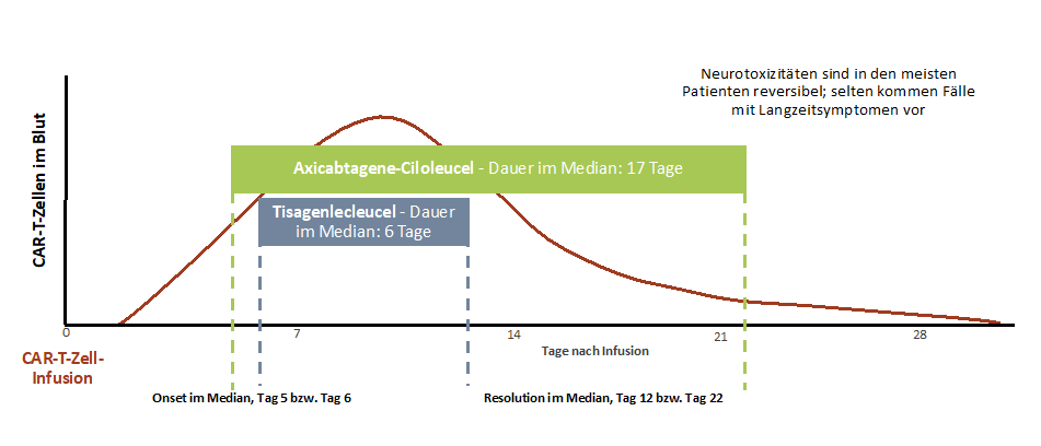 Zeitlicher Verlauf des ICANS 14