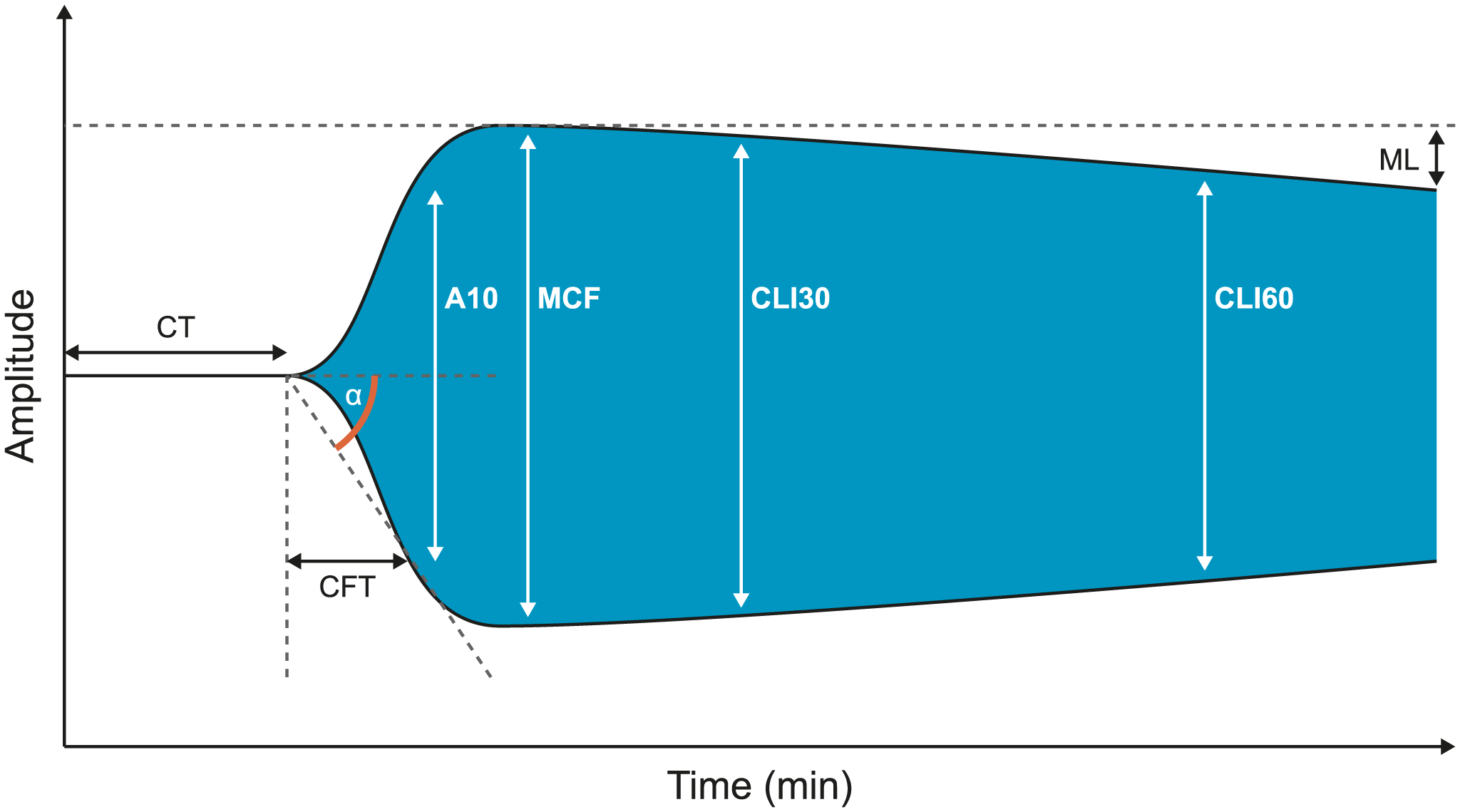Abbildung 2 – ROTEM®-Messkurve und Parameter*
