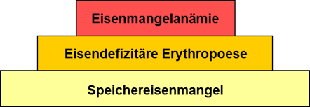 Stadien des Eisenmangels