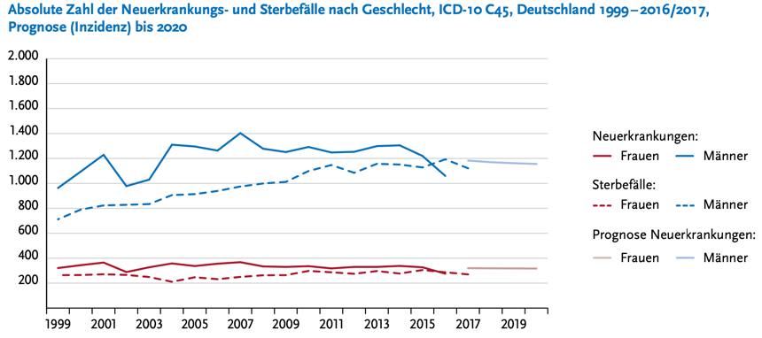 Inzidenz und Neuerkrankungen beim Pleuramesotheliom (Zentrum für Krebsregisterdaten Robert Koch Institut) 3 – absolute Zahl