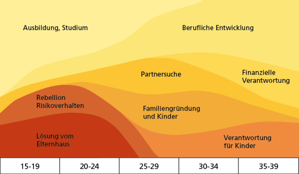 Psychosocial domains within young adult developmental tasks 10.