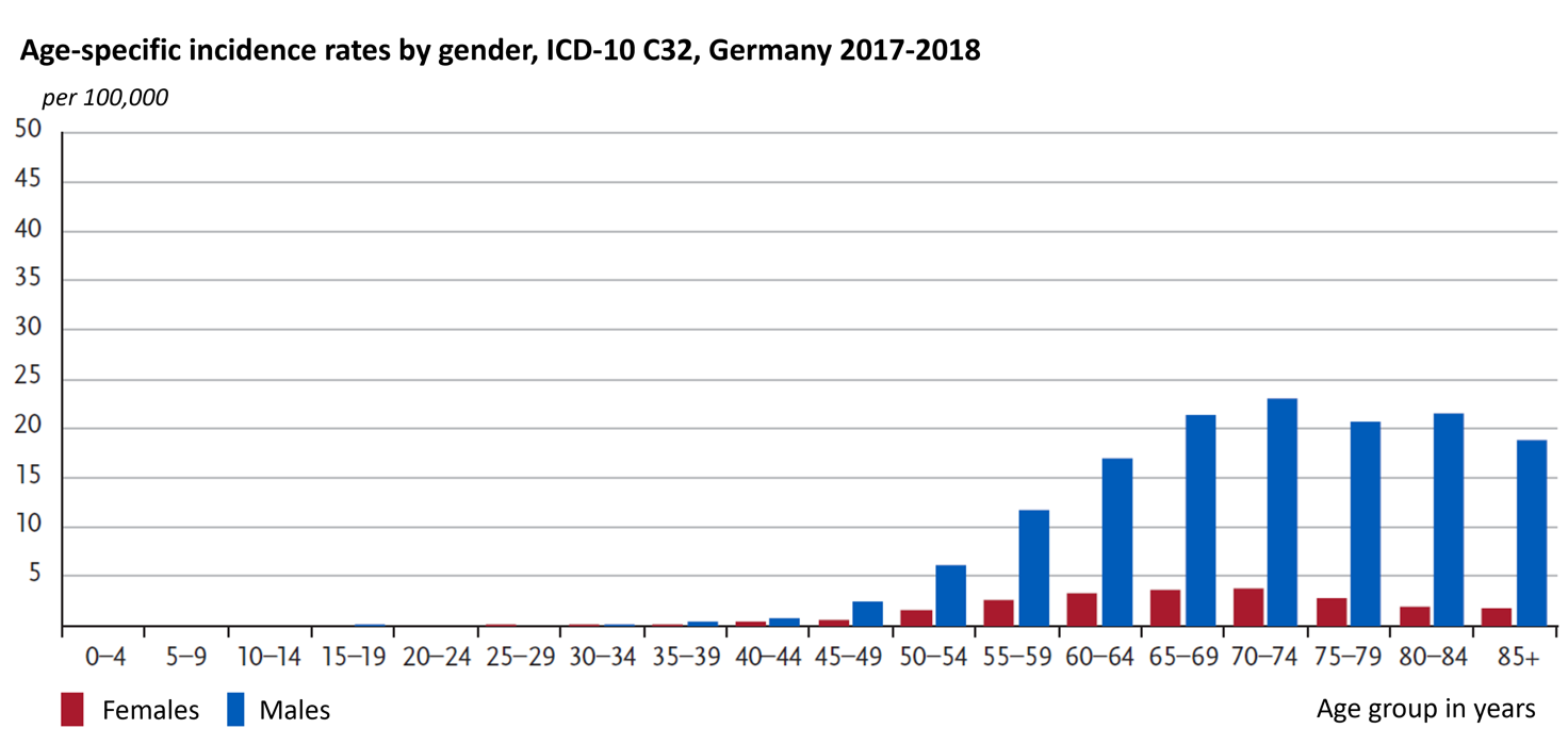 Laryngeal carcinoma in Germany: age-specific incidence rates by gender