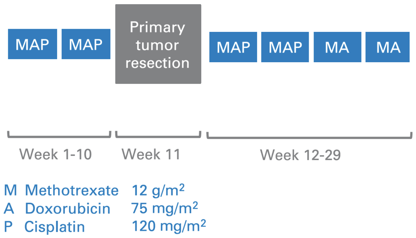 MAP chemotherapy protocol